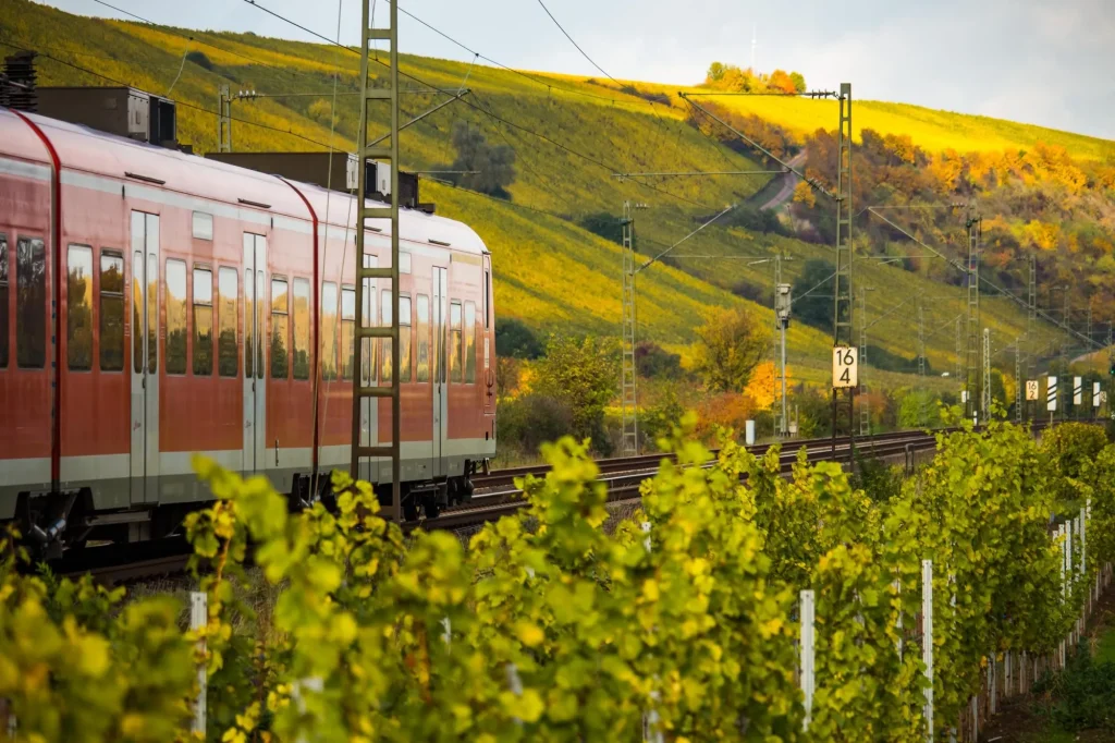 A train runs through autumnal vineyards